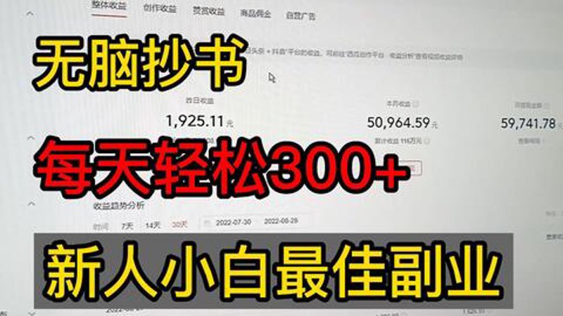 网络副业项目:打造生活与工作的完美平衡